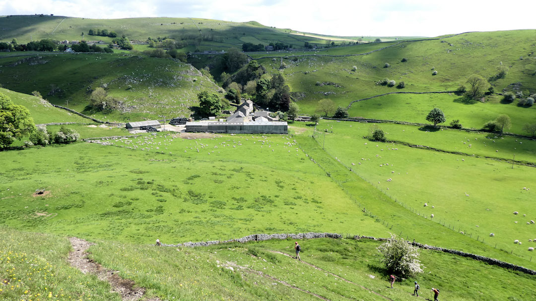 farm